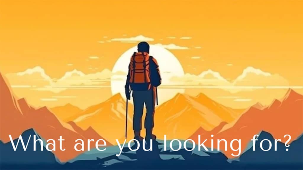 What Are You Looking For