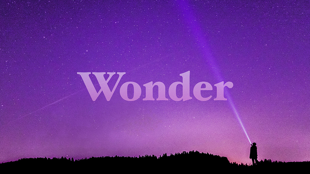 Wonder